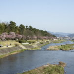 北山橋より