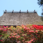 茅葺き屋根と花