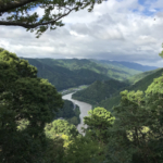 笠置山よりの木津川