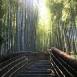 竹の小径（化野念仏寺）